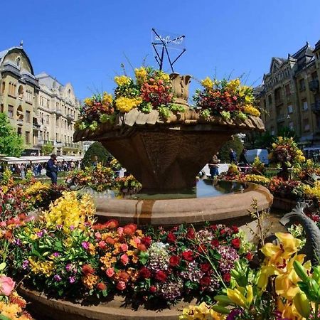 Rox Central Apartments Timisoara Bagian luar foto
