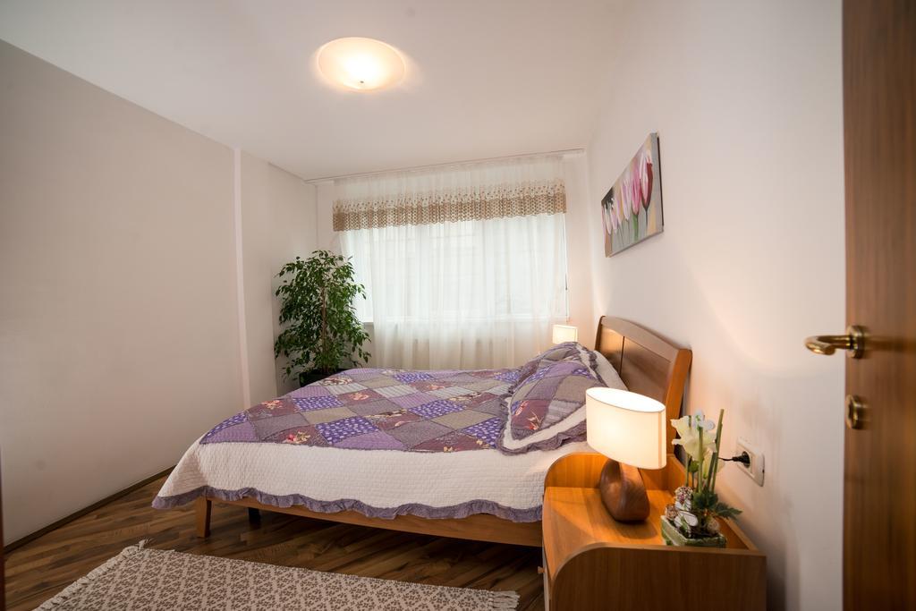 Rox Central Apartments Timisoara Bagian luar foto